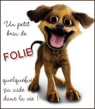 mes coup de folie!!!